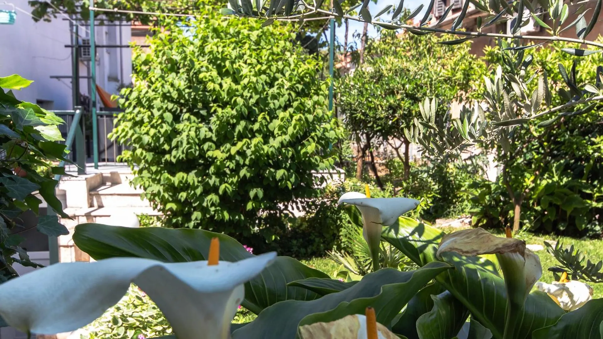 Apartment Marjan Hill 3-Br Apt,5 Guests Private Garden Near Beach Split